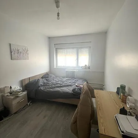 Cosy Apartment